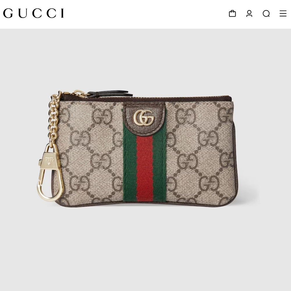 Gucci Beige and Brown Monogram Pouch - Picture 12 of 14